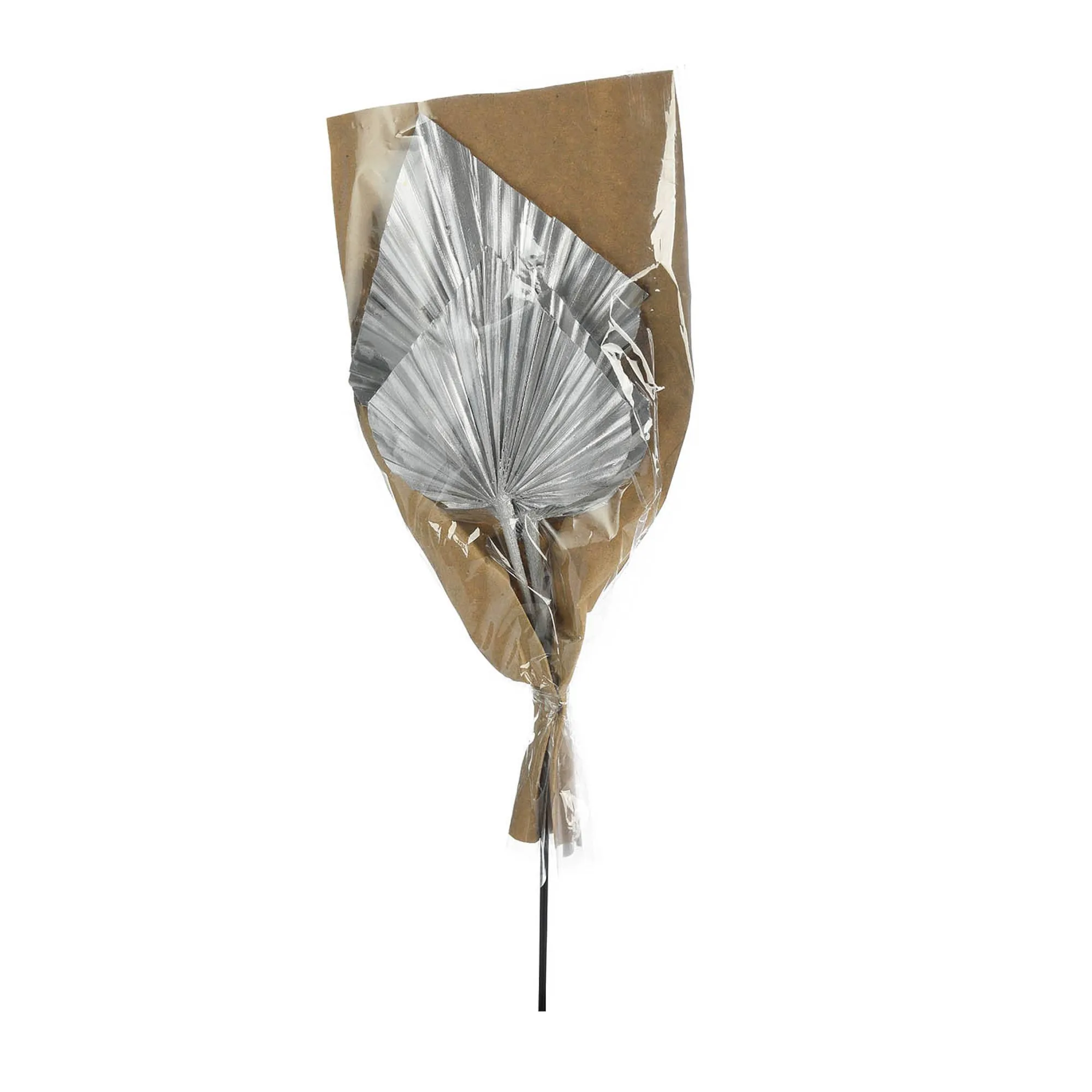 Trockenblumen Palmleaf^Depot Cheap