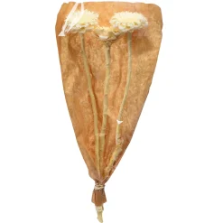 Online Depot Trockenblumen Proteablute