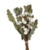 Sale Depot Trockenblumenstraus Baumwolle