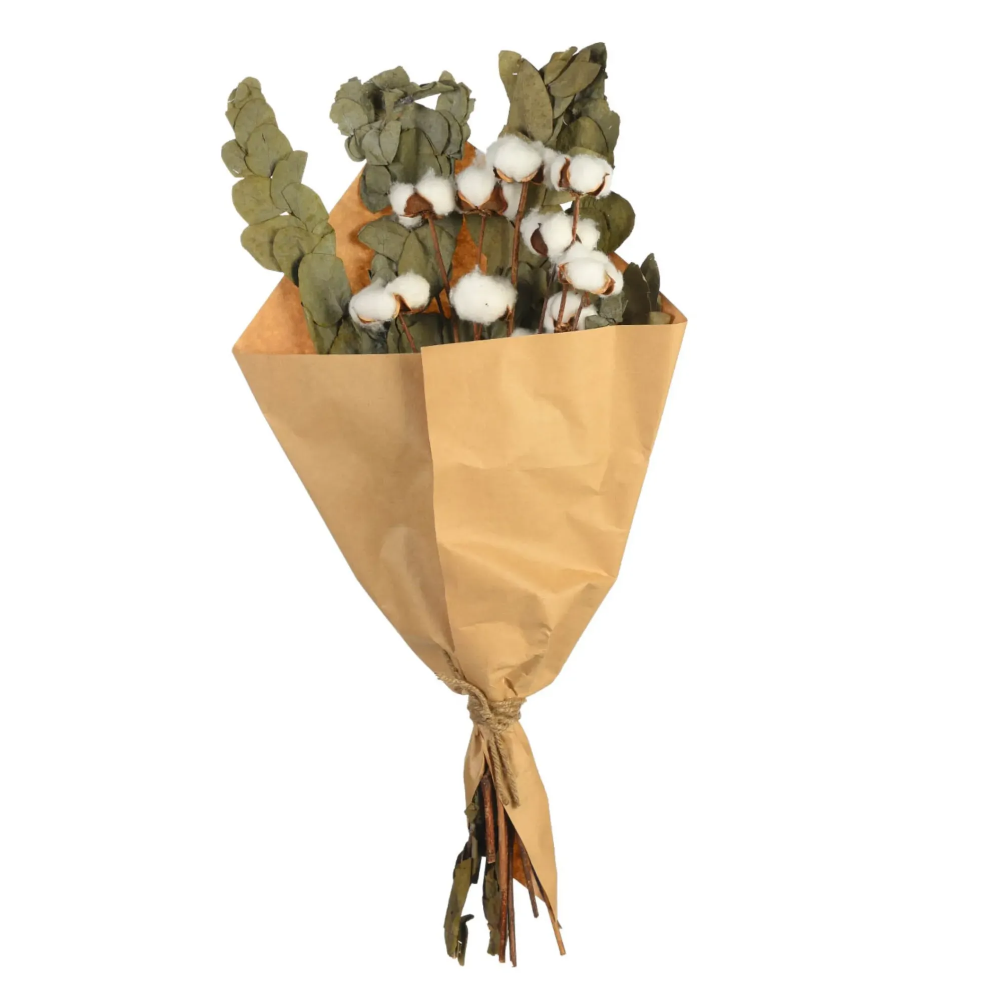 Sale Depot Trockenblumenstraus Baumwolle