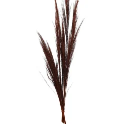 Trockenblumenstraus Besengras^Depot Sale