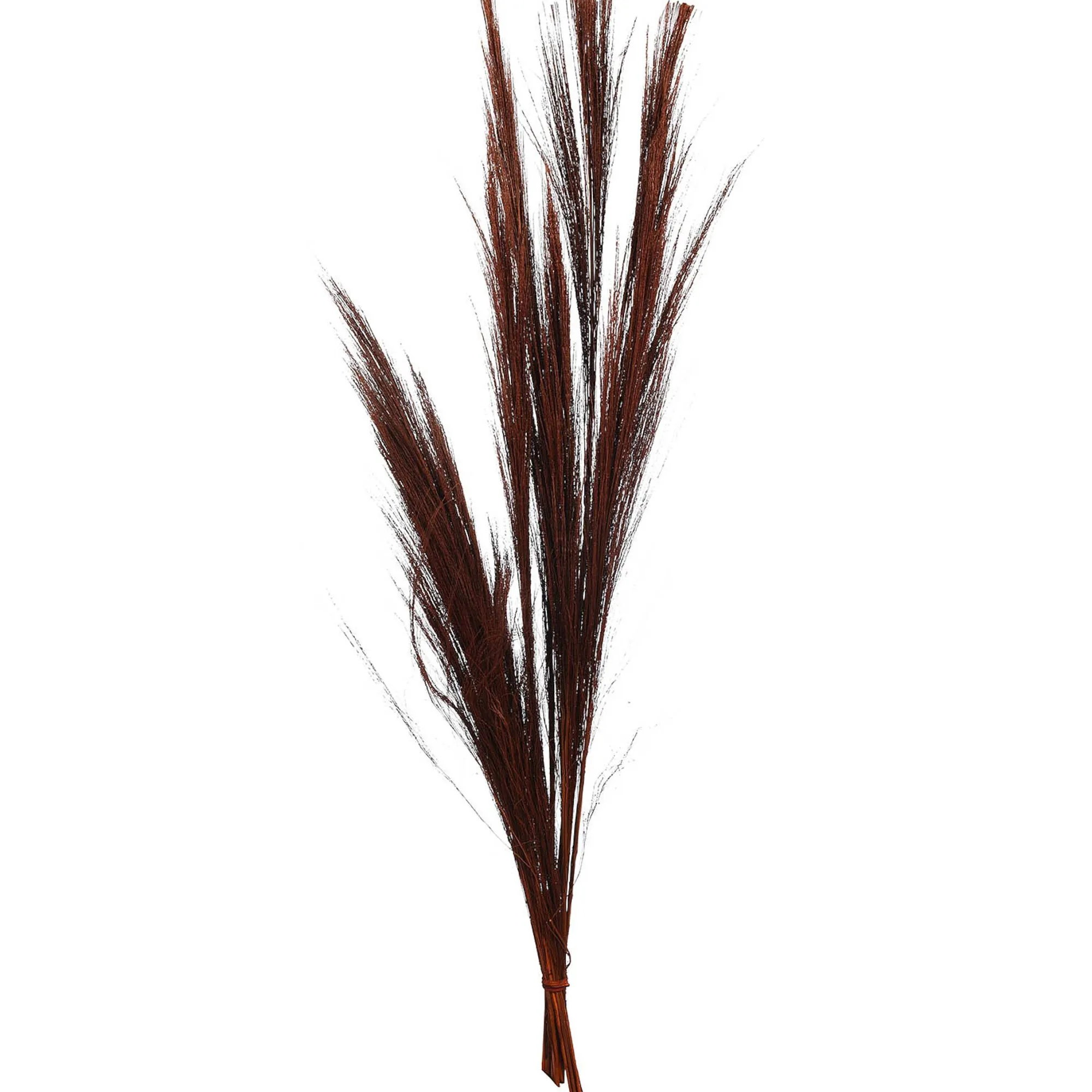 Trockenblumenstraus Besengras^Depot Sale