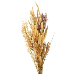 Trockenblumenstraus Dried Flowers^Depot Store