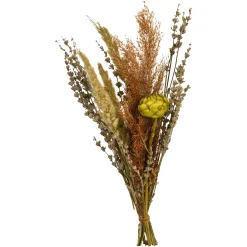 Sale Depot Trockenblumenstraus Dried Flowers