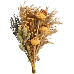 Shop Depot Trockenblumenstraus Dried Flowers