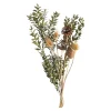 Trockenblumenstraus Greenery^Depot Shop