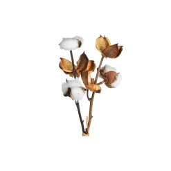 Trockenblumenzweig Baumwolle^Depot Clearance