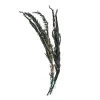 Best Sale Depot Trockenblumen-Zweig Rosmarin