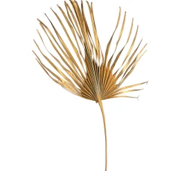 Trockenblume Palmenblatt Xxl^Depot Flash Sale