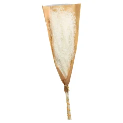 Trockenblume Schilf^Depot Store