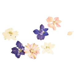 Trockenbluten Fruhlingsblumenmix, Gepresst^Depot Shop