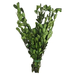Trockenbundel Buchs^Depot Sale