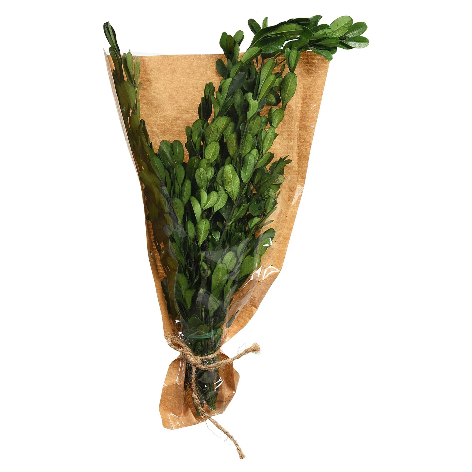 Trockenbundel Buchs^Depot Sale