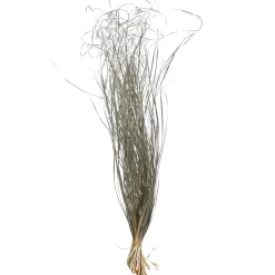 Trockenbundel Gras Metallic^Depot Flash Sale