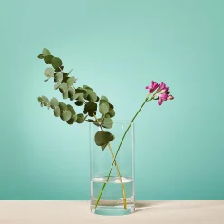 Vase Bellevie^Depot Cheap