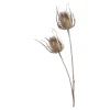 Zweig Distel Ca. 81Cm^Depot Shop