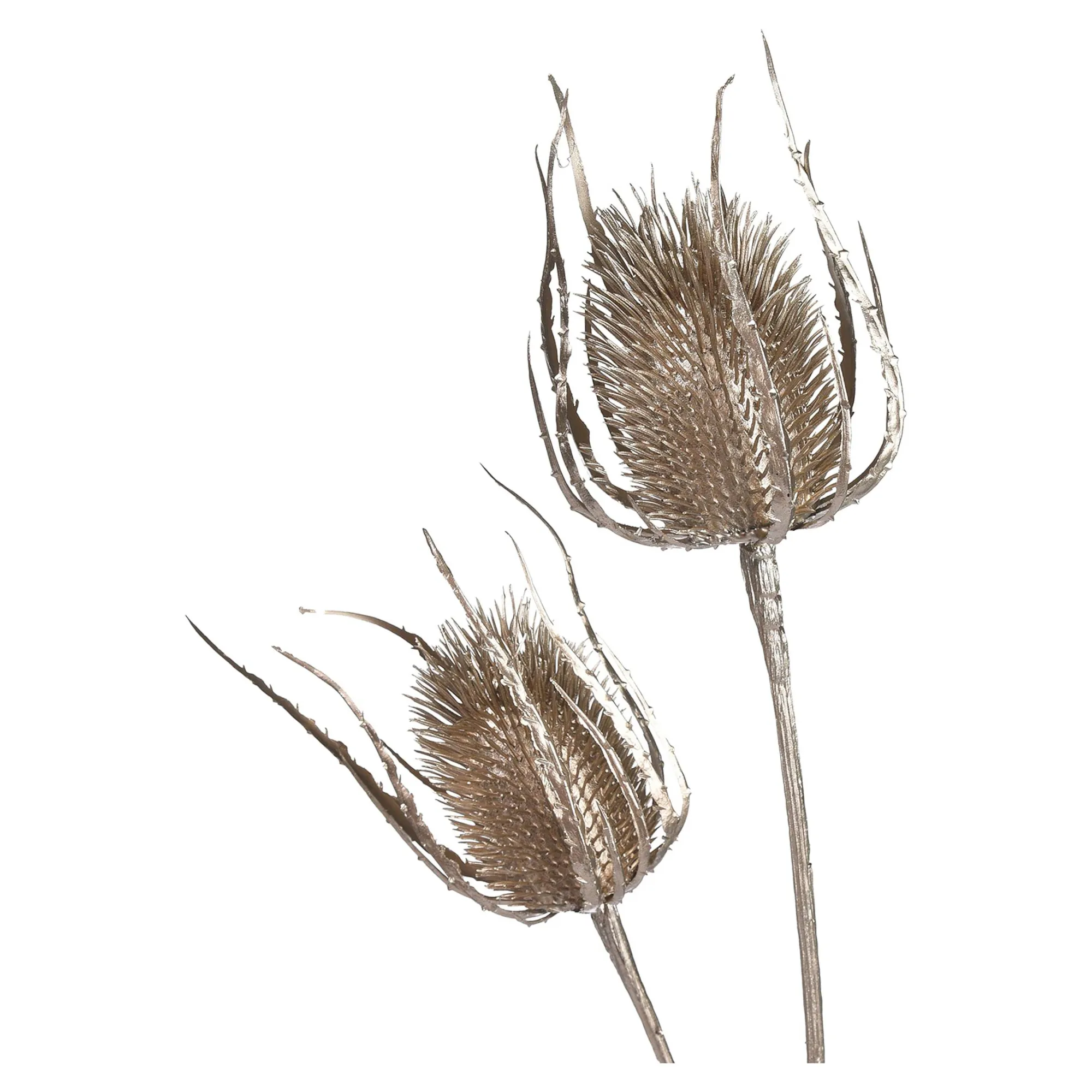 Zweig Distel Ca. 81Cm^Depot Shop