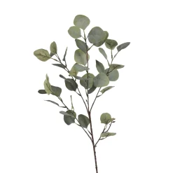 Outlet Depot Zweig Eukalyptus Ca.73Cm