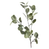 Zweig Eukalyptus Ca.73Cm^Depot Cheap