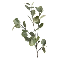 Zweig Eukalyptus Ca.73Cm^Depot Cheap