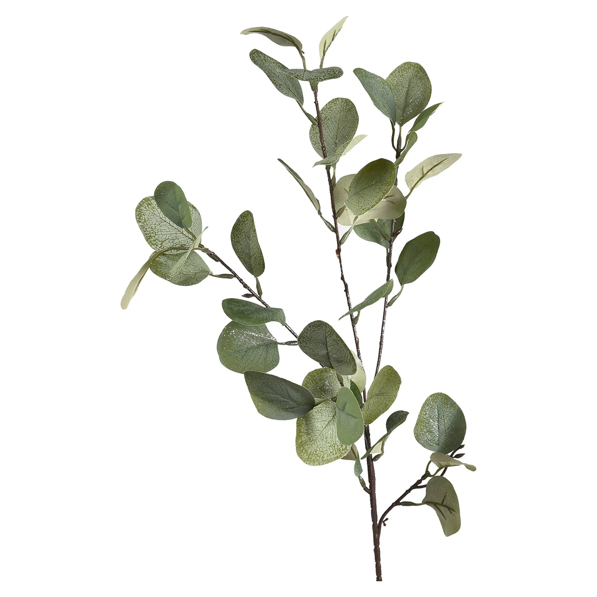 Zweig Eukalyptus Ca.73Cm^Depot Cheap