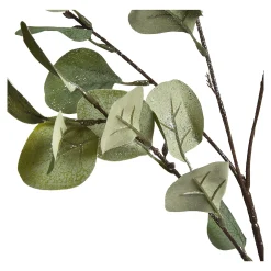 Zweig Eukalyptus Ca.73Cm^Depot Cheap