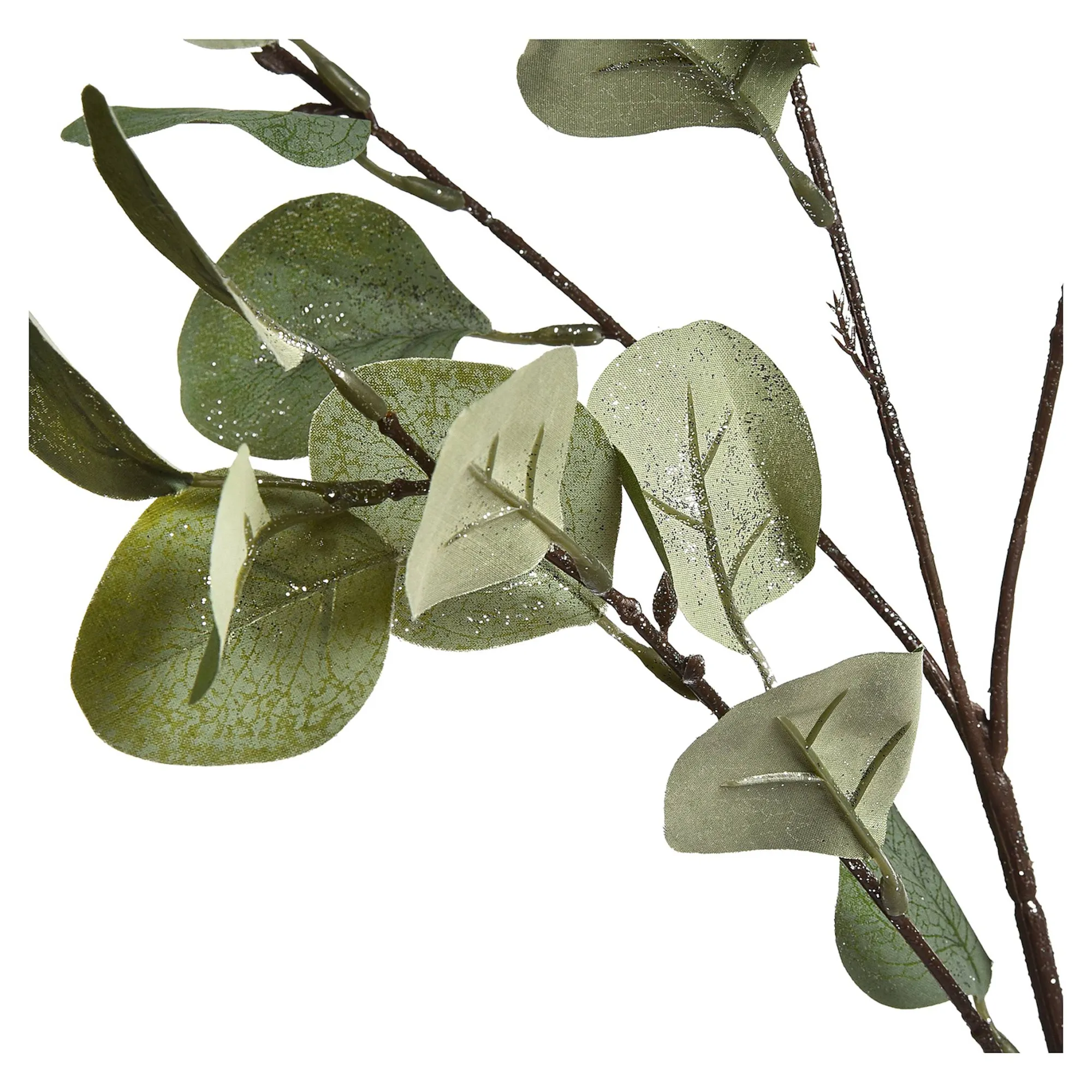 Zweig Eukalyptus Ca.73Cm^Depot Cheap