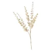 Zweig Eukalyptus Modern Ca.74Cm, Creme^Depot Sale
