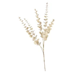 Zweig Eukalyptus Modern Ca.74Cm, Creme^Depot Sale