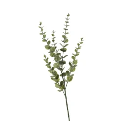 New Depot Zweig Eukalyptus Modern Ca.74Cm, Creme