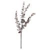 Zweig Eukalyptus Modern Ca.74Cm, Creme^Depot Hot