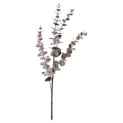 Zweig Eukalyptus Modern Ca.74Cm, Creme^Depot Hot