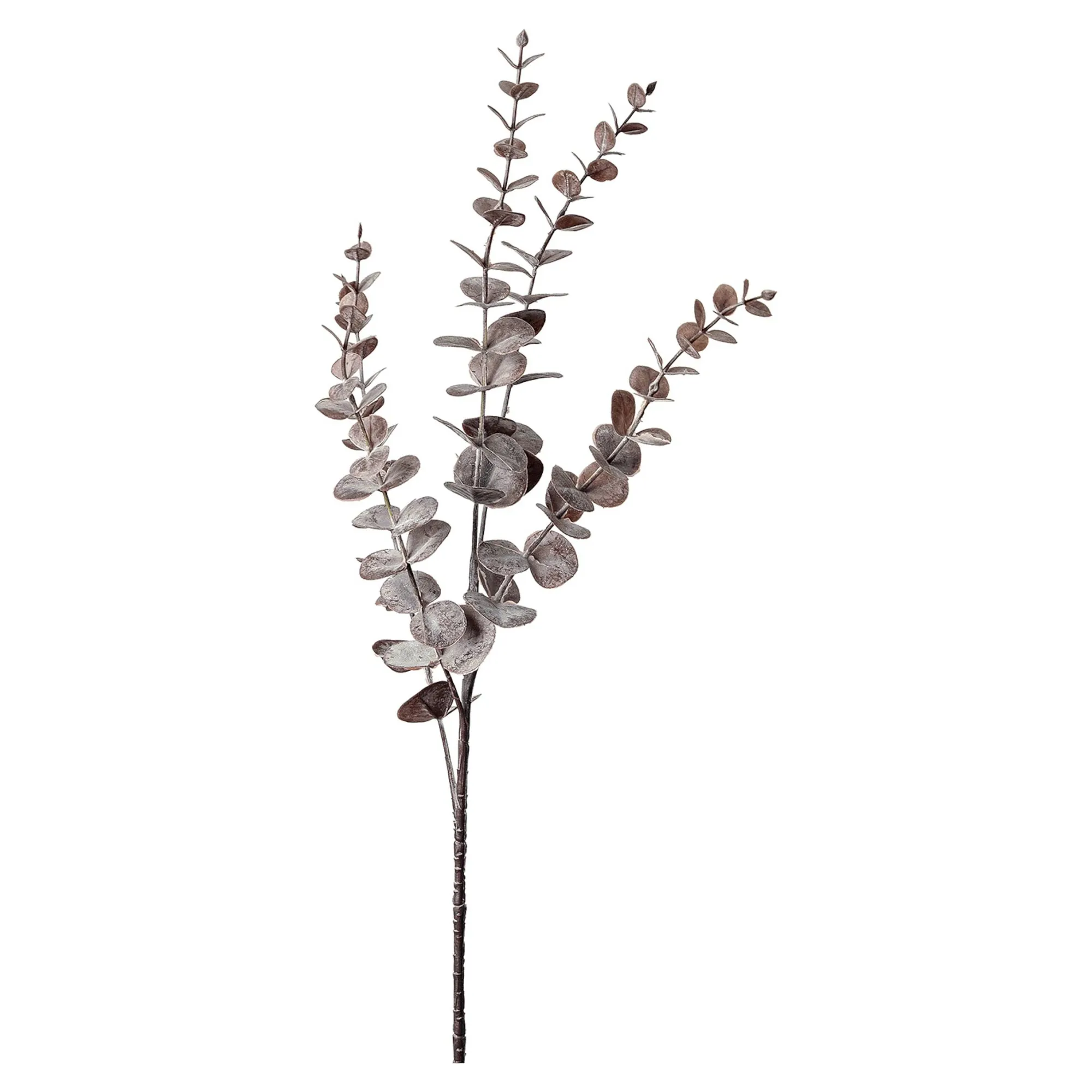 Zweig Eukalyptus Modern Ca.74Cm, Creme^Depot Hot